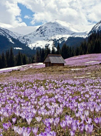 Tatra mountains